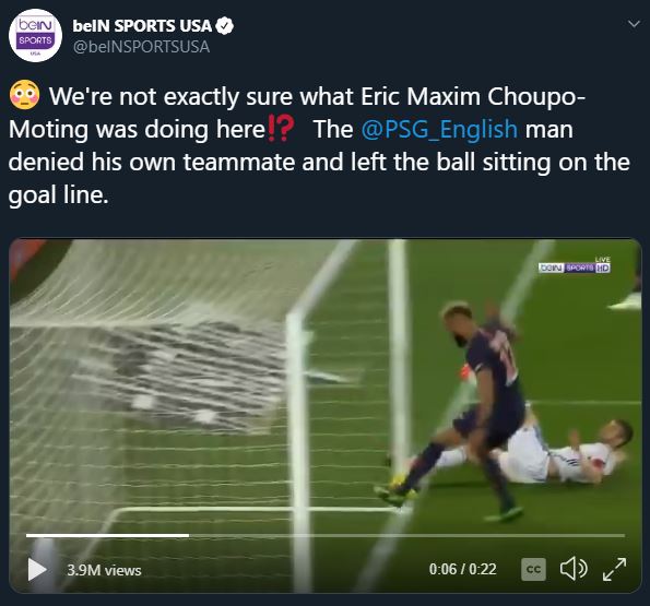 choupo.JPG