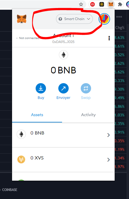 metamask-binance-smart-chain6.png