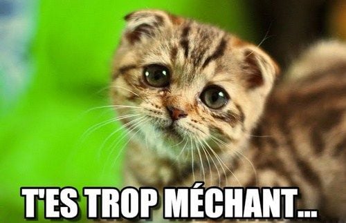 chaton-triste-tes-trop-méchant.jpg