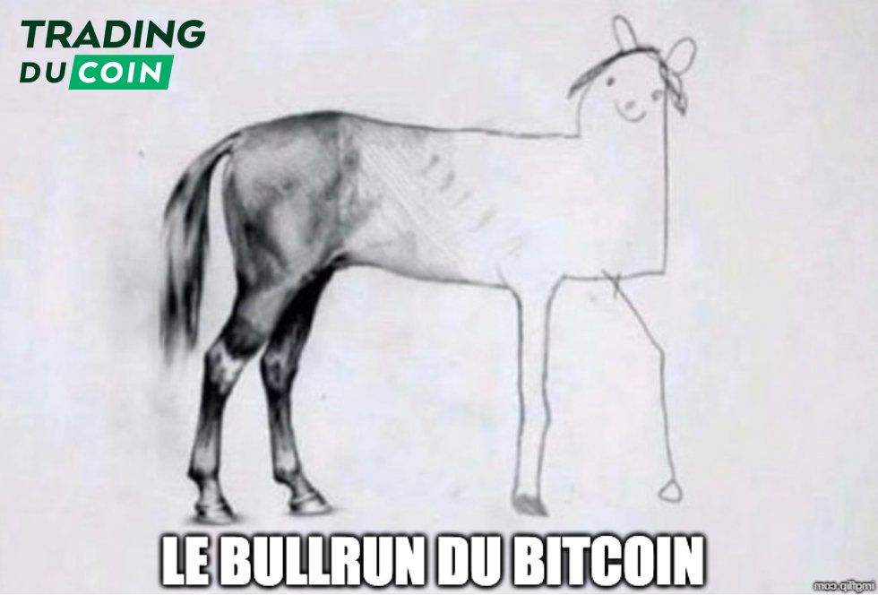 bullrun.jpg